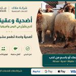 مشروع الأضاحي والعقائق يطعم عشرات الأسر