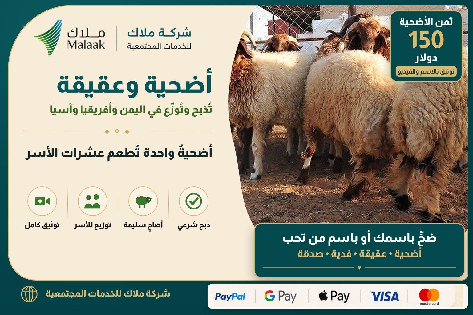 مشروع الأضاحي والعقائق يطعم عشرات الأسر
