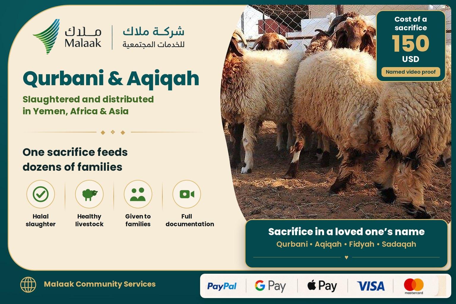 🐑 Qurbani & Aqeeqah Project – Feeding Dozens of Families